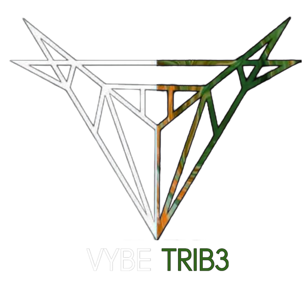 Vybe Trib3